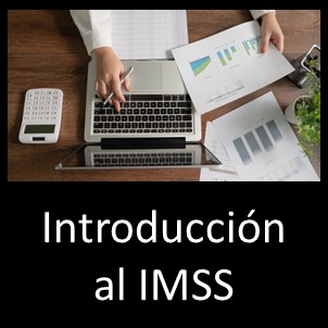 Introducción al 	IMSS